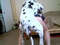Gay beastiality lover got fucked in the ass